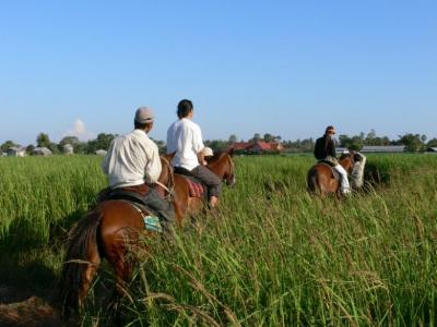 カンボジアで乗馬を楽しむ!!