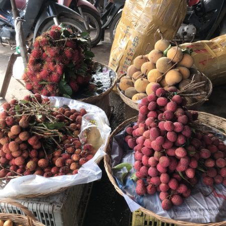 Zoomツアー フルーツ食べ比べ カンボジア旅行 スケッチトラベル クロマーツアーズ