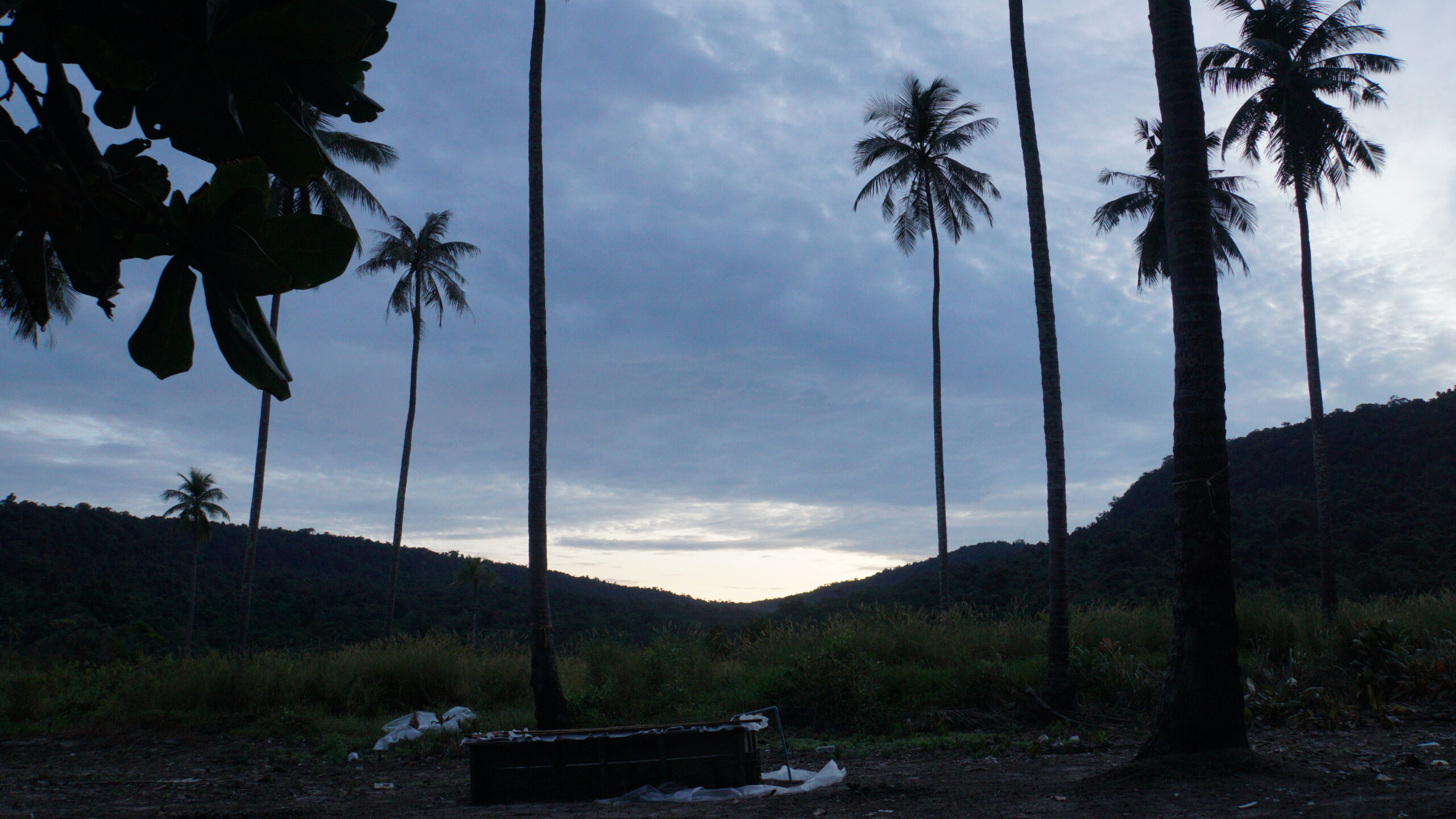コン島2泊3日のキャンプツアーに参加したお話。【後編】