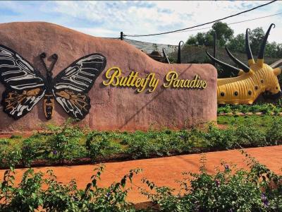 シェムリアップのB級名所! 知る人ぞ知る名所廻りツアー