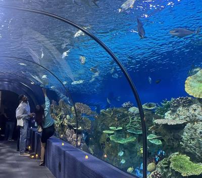 アンコールワイルドライフ&アクアリウム 入場チケット<シェムリアップ> 【簡単WEB予約+入館クーポン】